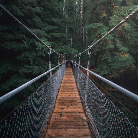 أعيش حياة لا تشبهني