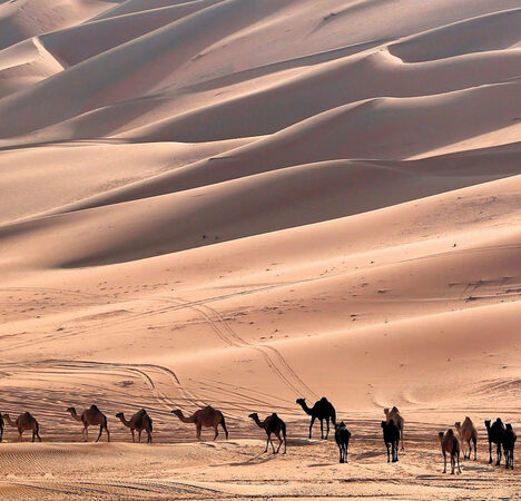 من ضيق الحزن إلى رحابة الحياة والإيمان