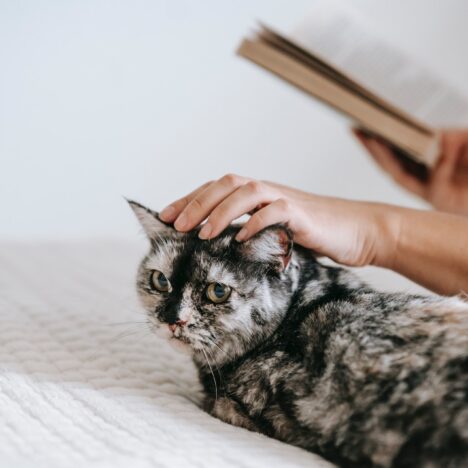 من نفحات النبوة ودروس في الصبر والمثابرة